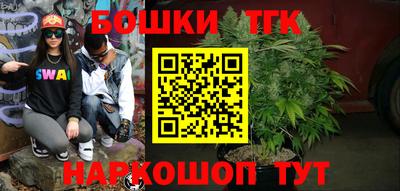 СК Тула