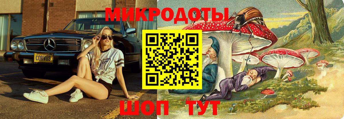 Галлюциногенные грибы ЛСД  купить закладку  Галлюциногенные грибы мухоморы  Волхов  Вход с VPN 