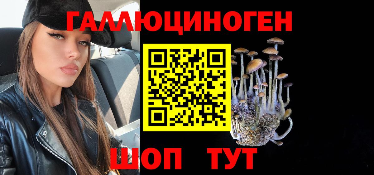 Псилоцибиновые грибы Magic Shrooms Волхов