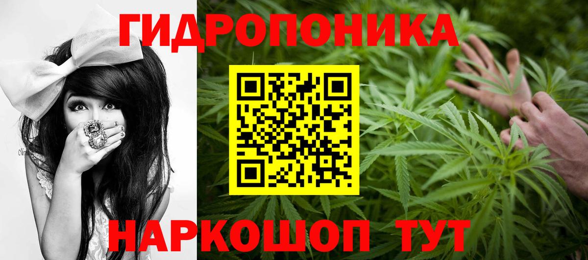 Каннабис сатива  Канабис White Widow  Вход с VPN  Волхов 